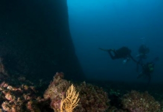  Practice diving during an organized outing 